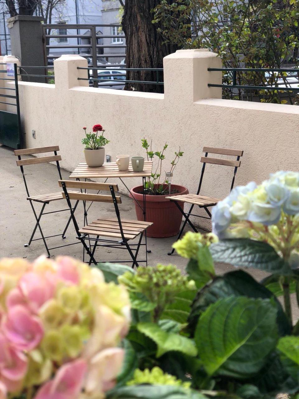 Cabbage Hostel 베오그라드 외부 사진